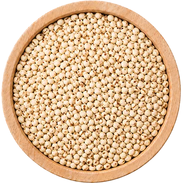 Jowar