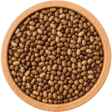 Moth Beans