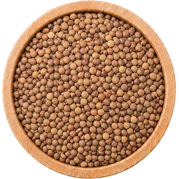 Whole Masoor