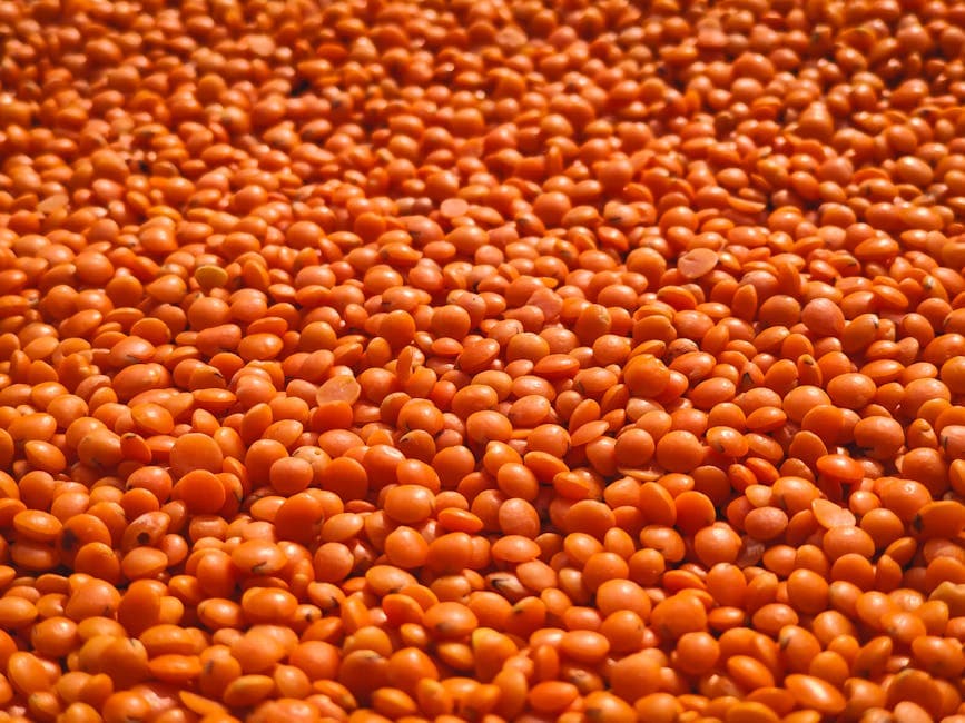 Why Indian Toor Dal Is the Gold Standard for Global Importers