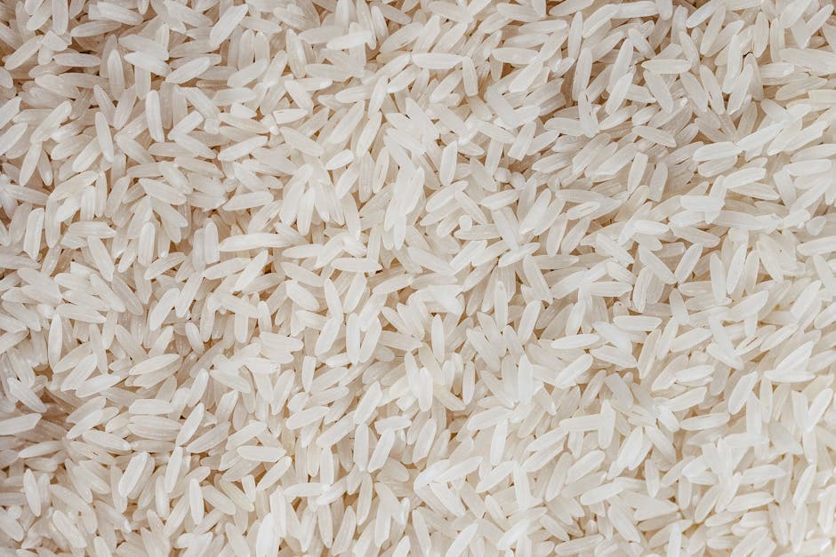 Basmati Rice Export from India: A Complete Guide for Distributors