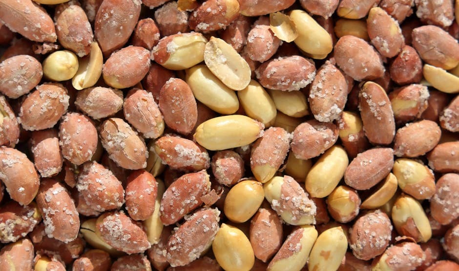 The Rise of Indian Groundnuts in Global Snack Manufacturing