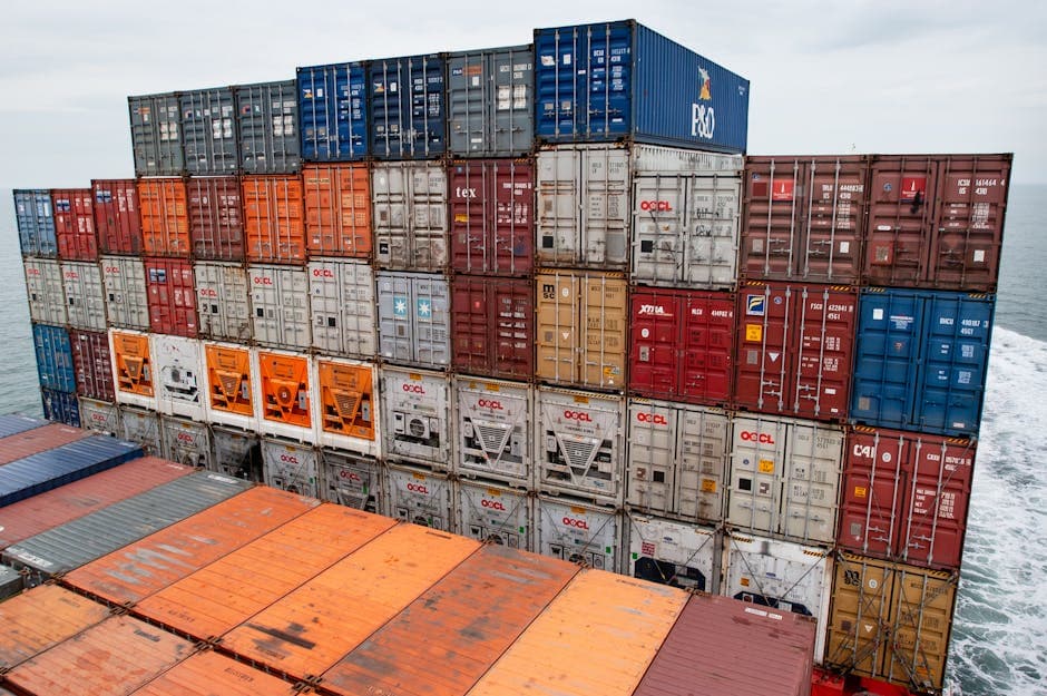 India's Food Export Industry: Trends and Opportunities in 2026
