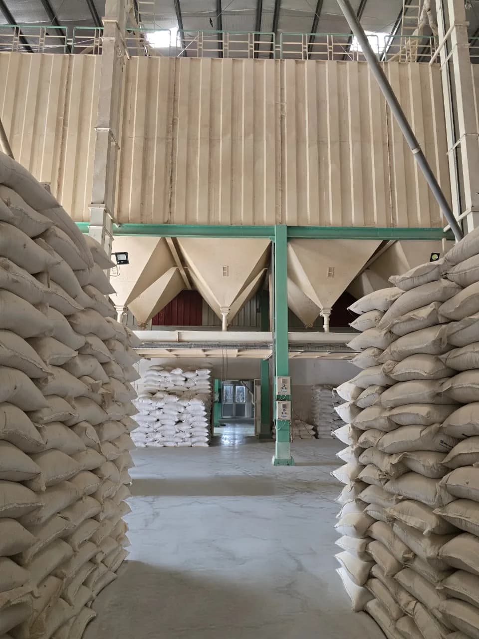 HS Proteins factory floor