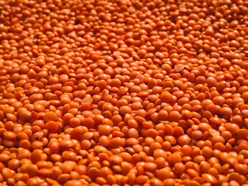 Arhar Dal